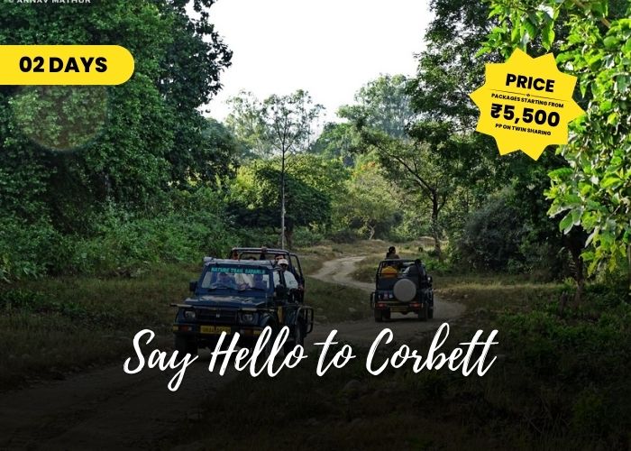 corbett tour packages
