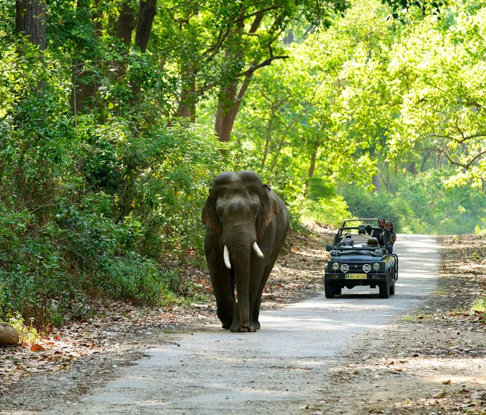 jeep safari in corbett