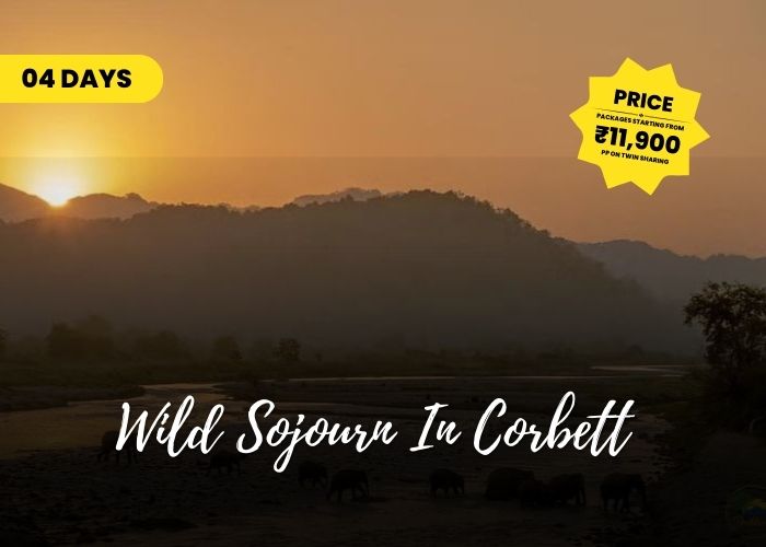 jeep safari in corbett