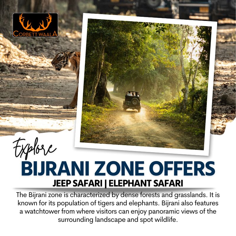 corbett jeep safari in bijrani