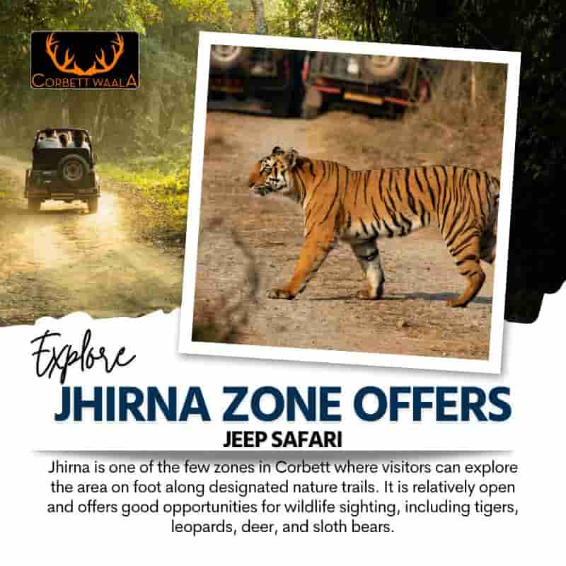 corbett jeep safari in jhirna