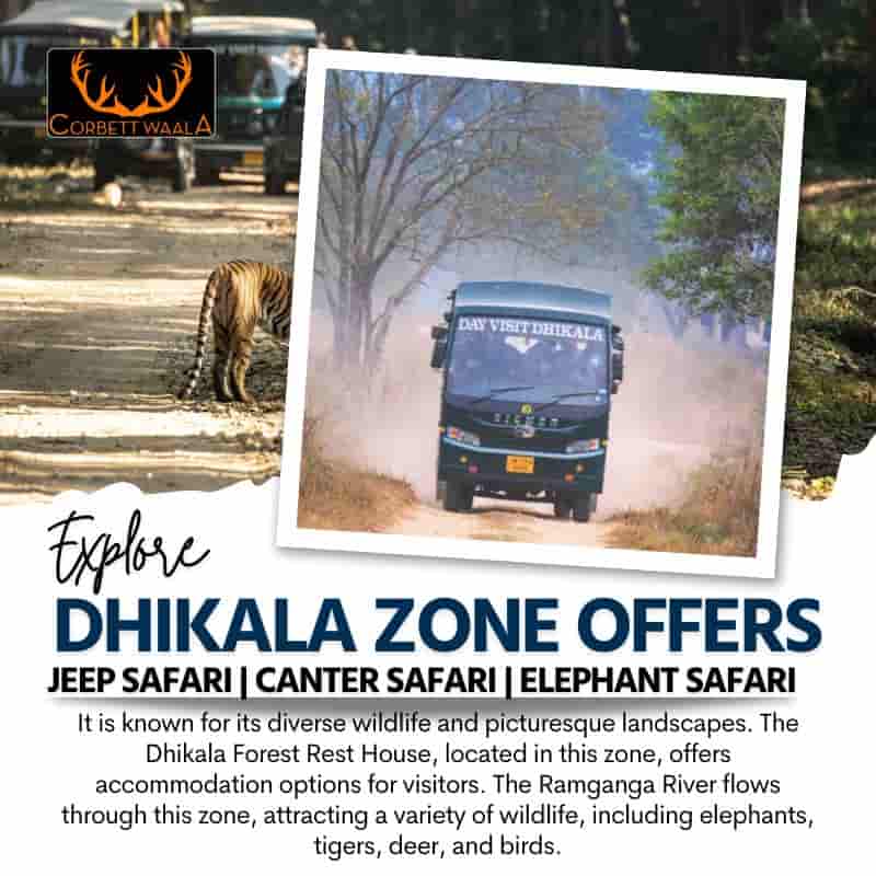 jeep safari in corbett