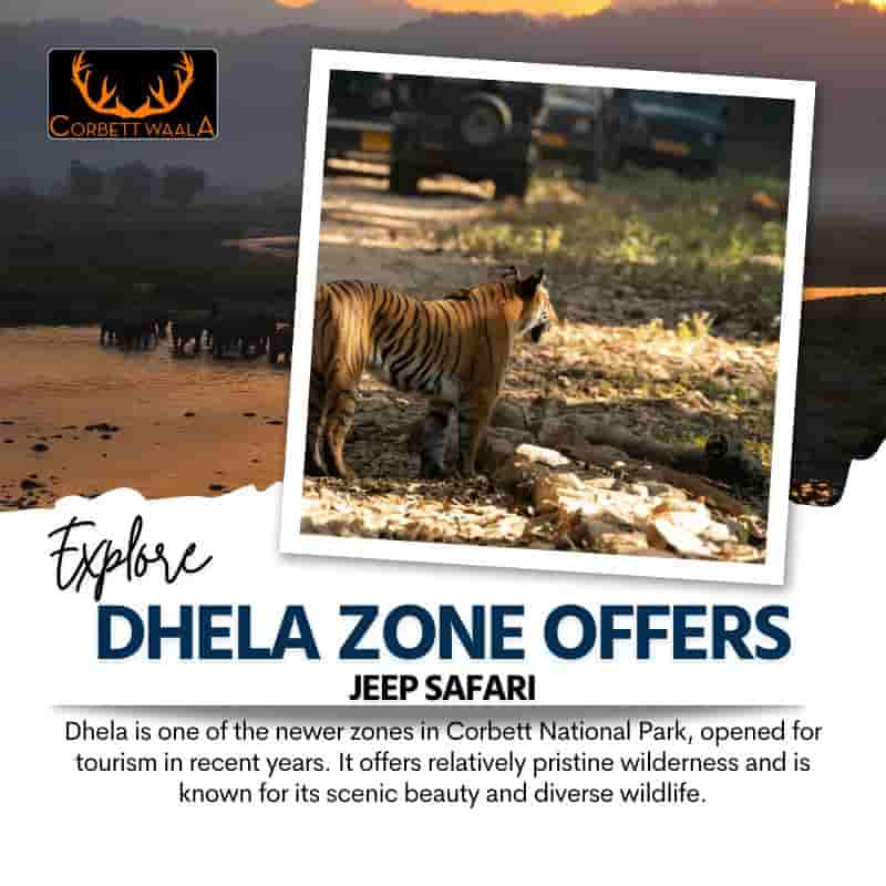 corbett jeep safari in dhela