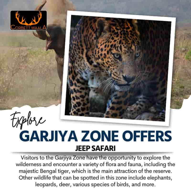 corbett jeep safari in garjiya