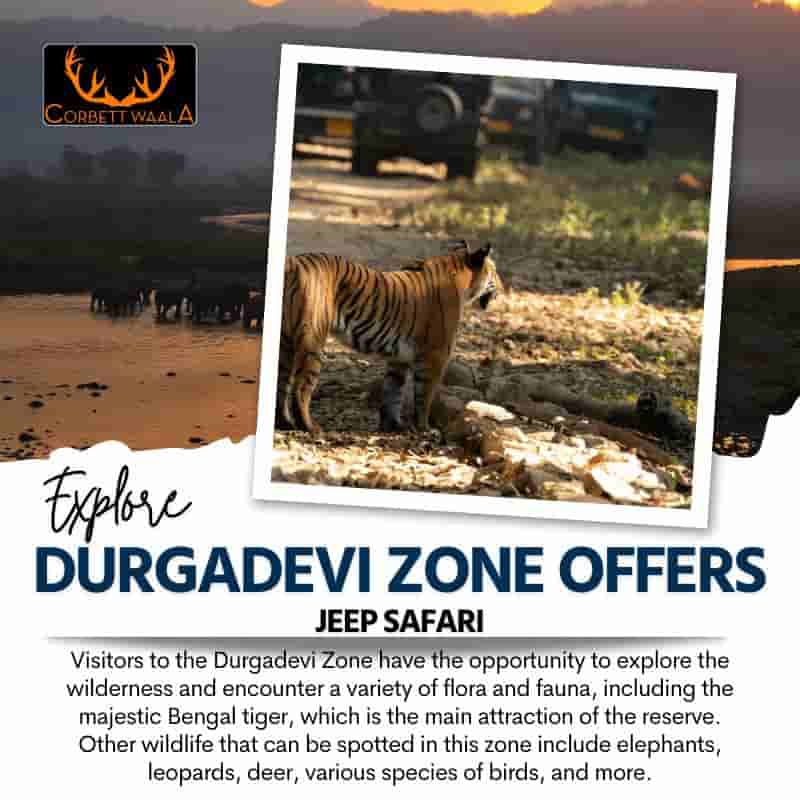 corbett jeep safari in durgadevi