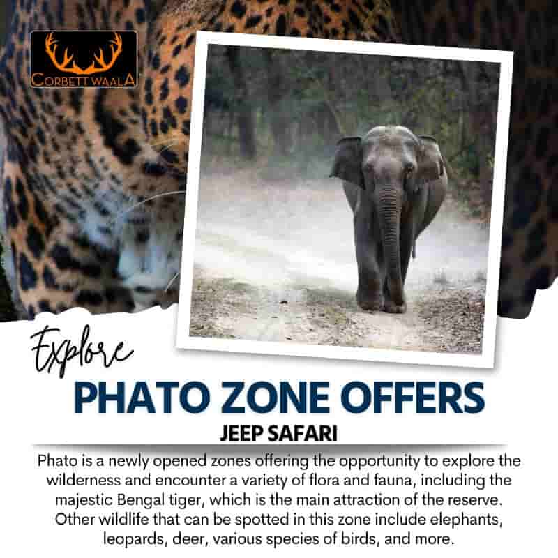 corbett jeep safari in phato